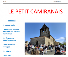 camiranais 10.PNG camiranais 10.PNG